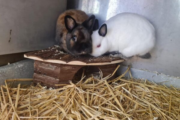 WhatsApp Image 2025-11-24 at 10.57.56