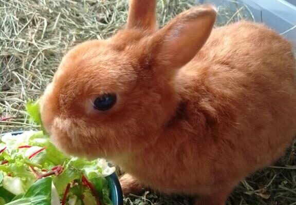 WhatsApp Image 2026-01-07 at 11.32.52